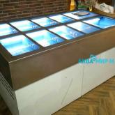 Аквариумная витрина для морских гидробионтов