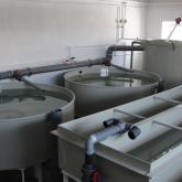 Инкубационное оборудование для УЗВ