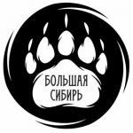 Промышленные предприятия России