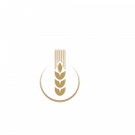 Промышленные предприятия России