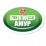 Промышленные предприятия России