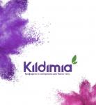 Промышленные предприятия России