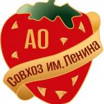 Промышленные предприятия России