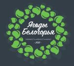 Промышленные предприятия России