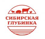 Промышленные предприятия России