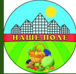 Промышленные предприятия России