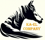 Промышленные предприятия России