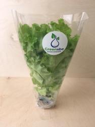 Салат Листовой