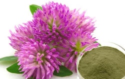 Сухой водорастворимый аморфный порошок. Получен методом распылительной сушки из водной вытяжки надземной части клевера. Фасовка по 5 кг в п/э пакеты. Тарное место 10 кг (2 пакета в картонной коробке)