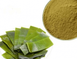 Сухой водорастворимый аморфный порошок. Получен методом распылительной сушки из водной вытяжки ламинарии. Фасовка по 5 кг в п/э пакеты. Тарное место 10 кг (2 пакета в картонной коробке)