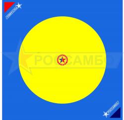 Ковер для самбо