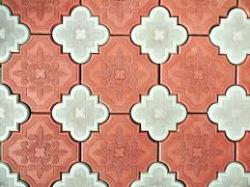 краковский клевер