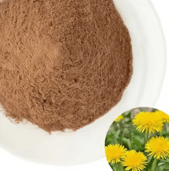 Сухой водорастворимый аморфный порошок. Получен методом распылительной сушки из водной вытяжки корня одуванчика. Фасовка по 5 кг в п/э пакеты. Тарное место 10 кг (2 пакета в картонной коробке)