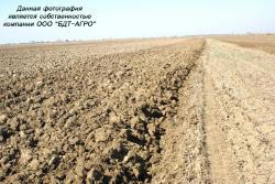 Плуги лемешные регулируемые ПЛР ВАРЯГ® захватом от 2 до 9 корпусов