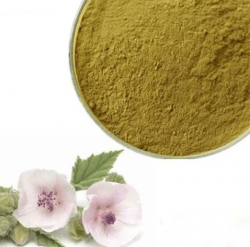 Сухой водорастворимый аморфный порошок. Получен методом распылительной сушки из водной вытяжки корней алтея. Фасовка по 5 кг в п/э пакеты. Тарное место 10 кг (2 пакета в картонной коробке)