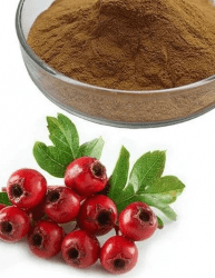 Сухой водорастворимый аморфный порошок. Получен методом распылительной сушки из водной вытяжки плодов боярышника. Фасовка по 5 кг в п/э пакеты. Тарное место 10 кг (2 пакета в картонной коробке)