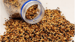 Просо Красное состав