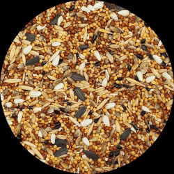 Корм для мелких и средних попугаев состав