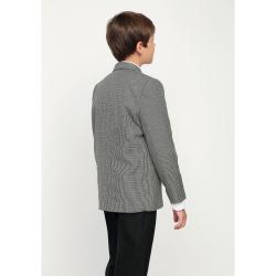 Пиджак серый рябушка вид сзади