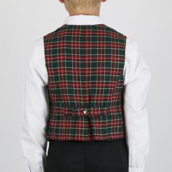 Жилет в зелено-красную клетку вид сзади крупный