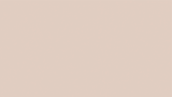 Роза Антико