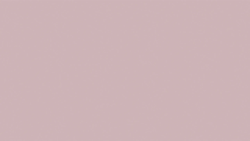 Роза Паллидо