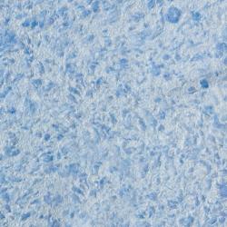 Виктория 717