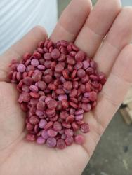 гранула ПВД бордовая