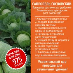 Урожай 2023 после применения сапропеля