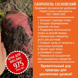 Урожай 2023 после применения сапропеля