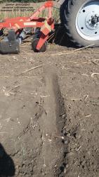 Дисковые бороны легкие БДМ-В БАРСУК на стойках с эластомерами, с шириной захвата от 1,8 до 12,1 метров