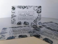 визитки, пластиковые карты