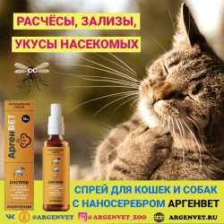 АргенВЕТ спрей для кошек и собак при расчесах