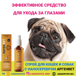 АргенВЕТ спрей для кошек и собак для глаз
