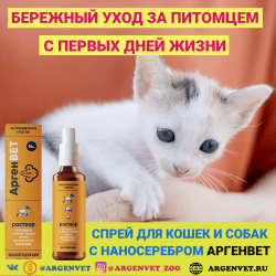 АргенВЕТ спрей для молодых кошек и собак