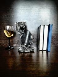 медведь серебристый вид спереди