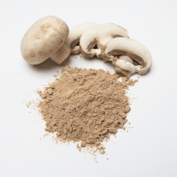 Состав сушеных шампиньонов богат полезными веществами. Сушеные шампиньоны содержат 18 аминокислот, многие из которых являются незаменимыми. Витамины: В1, В2, С, D и Н, а также микроэлементы: калий, натрий, фосфор. Шампиньоны являются отличным источником растительного белка, помогают регулировать уровень «плохого холестерина» в крови, а количество фосфора и кальция в них примерно такое же, как и в рыбе