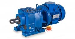 Мотор редуктор TZ