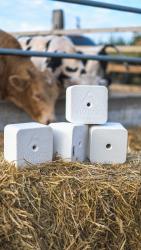 соли-лизунцы "Лимисол" для КРС и МРС