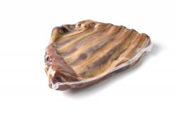 ТЕРМОУСАДОЧНЫЕ БАРЬЕРНЫЕ ПАКЕТЫ MEALGUARD