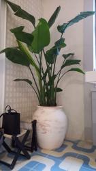 Большой кашпо, кашпо на заказ