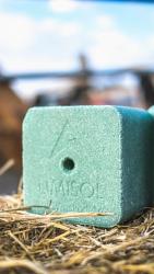 Соль-лизунец "Лимисол-МБО" зеленого цвета весом 5 кг круглой и квадратной формы, а также квадратный брикет весом 20кг, фасуется в коробки из гофрокартона по 4 штуки и в термоусадочную пленку.