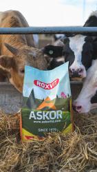 Упаковано в фирменные мешки по 25кг