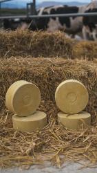 Соль-лизунец "Лимисол-Фосфогон" желтого цвета весом 5 кг круглой и квадратной формы, а также квадратный брикет весом 20кг, фасуется в коробки из гофрокартона по 4 штуки и в термоусадочную пленку.