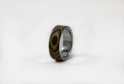 кольцо из титана
