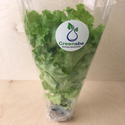 Салат Листовой