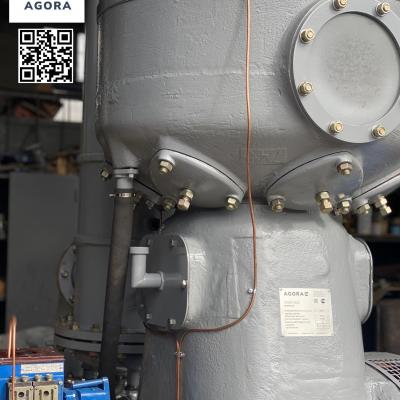 Компрессор воздушный поршневой 305ВП Агора