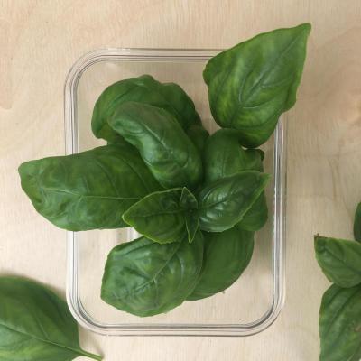 Базилик Зеленый