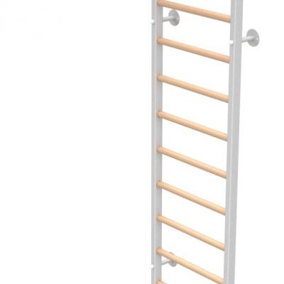 Шведская стенка "ДСК - Рукоход"