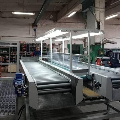 Инспекционный роликовый стол для оптимизации процесса переборки овощей АПК-28-23